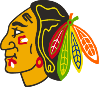 Chicago Blackhawks Logo / 1986 > 1989